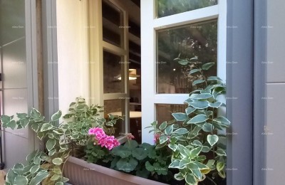 Bale – volledig gerenoveerd stenen huis in het centrum, 116 m²