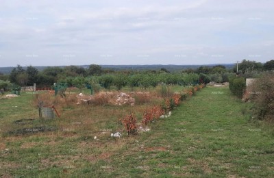 Marčana – bouwgrond 1.200 m²