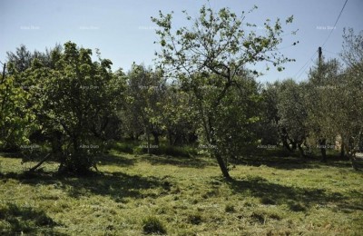 LOBORIKA - Bouw- en landbouwgrond