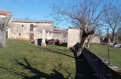 Pazin, Istrië - twee oude stenen huizen met een groot stuk grond