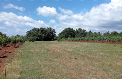 Landbouwgrond Juršići