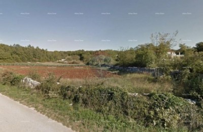 Bouwgrond, Kringa, Tinjan
