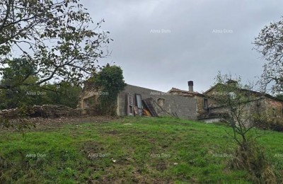Groot landgoed met huis en bouwgrond, omgeving van Buzet
