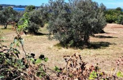 Te koop landbouwgrond – Fažana - Peroj