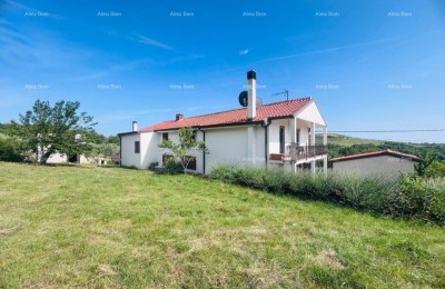 Buje – Vrijstaande woning met olijfgaard en bouwgrond