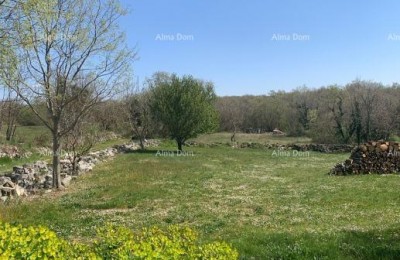 Bouwgrond van 785 m2 in de omgeving van Višnjan - project voor een villa met zwembad