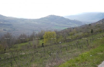 BOUWGROND MET PANORAMISCH UITZICHT OP MOTOVUN – 3.059 m²