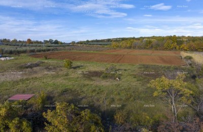 Poreč – 4 bouwpercelen (800–900 m²) op een rustige locatie