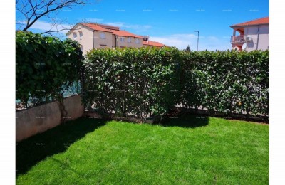 Ruim appartement met tuin, Tar