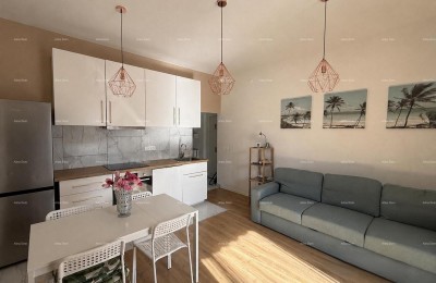 Stan met terras – 100 m van de zee, Novigrad