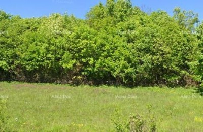 Bouwgrond 4.168 m² – Tinjan, Istrië