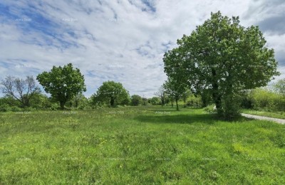 Uitstekende bouwgrond voor investeringen.