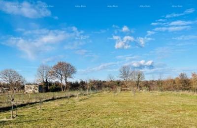 MARČANA! LOBORIKA - BOUWGROND MET OLIEBOMEN EN FRUITBOOMGAARD