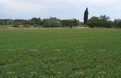 Bouwgrond Žminj