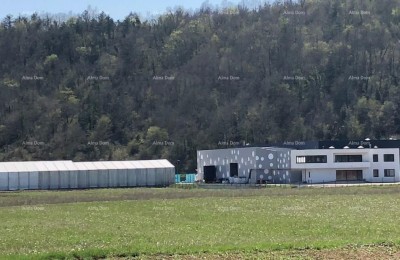 Bouwgrond Pazin