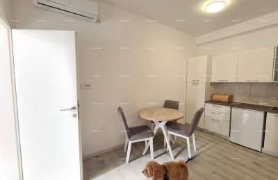Te koop: onroerend goed met twee appartementen - Pula