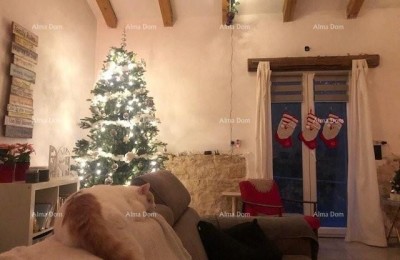Kamena villa met extra appartement en konoba, Sveti Lovreč