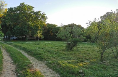 Bouwgrond Ližnjan