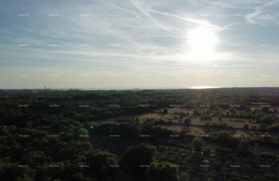 Vodnjan – bouw- en landbouwgrond 8000m2