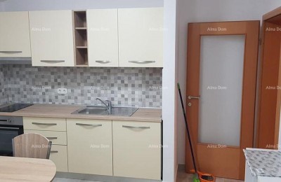 Verkoop van een groot appartement met tuin, Tar, Vabriga!
