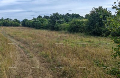 Bouwgrond van 1.600 m² in de buurt van Svetvinčenat
