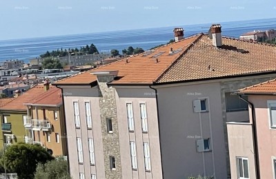 Appartement Novigrad