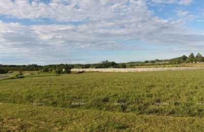 Te koop: bouwgrond, 7.159 m² – Brtonigla