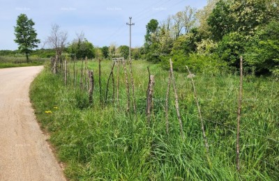 POREČ - Bouwgrond te koop, 12000m2