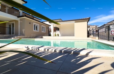 Verkoop van een prachtige villa met zwembad, mediterrane stijl, Umag