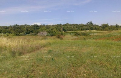 Bouwgrond 2.539 m² – Smoljanci, Svetvinčenat