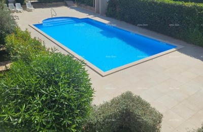 Appartement Umag
