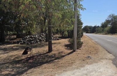 Te koop: bouwgrond, ca. 1500 m2 – Marčana
