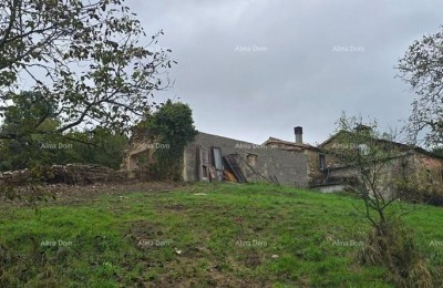 Groot landgoed met huis en bouwgrond, omgeving Buzet