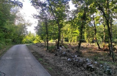 Verkoop van bouwgrond met project- en bouwvergunning, Karojba