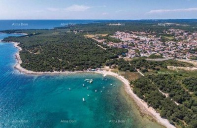 Huis met drie aparte appartementen en een olijfgaard, slechts 500 m van de zee.