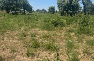Perceel van 4000 m² in Ližnjan, T2-zone