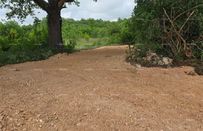 VERKOOP – Bouwgrond met bouwvergunning en project voor een huis met zwembad, Marčana!