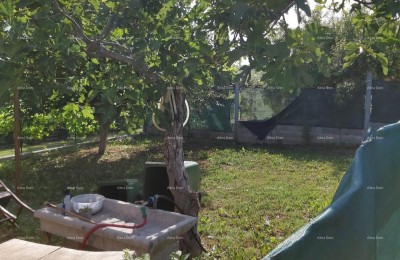 Te koop: huis met kelder, groot terras, twee driekamerappartementen en een tuin. Geweldige investeringskans!