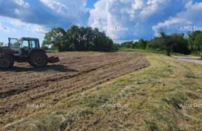 Te koop – drie bouwpercelen en een landbouwperceel.