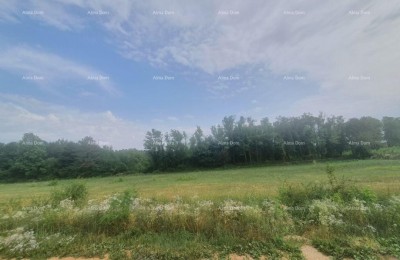 VIŠNJAN – AANTREKKELIJK BOUWTERREIN MET UITZICHT, 2.588 m²