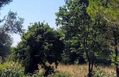 Bouwgrond Medulin