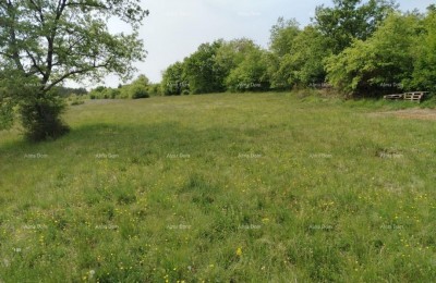 Bouwgrond 3.528 m², omgeving Grožnjan