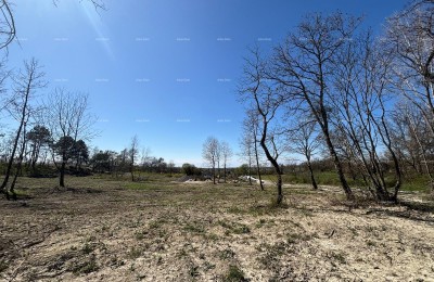 PAZIN (Istrië) - bouwgrond 1543 m2, in de groene zone