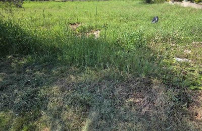 Bouwgrond 1.412 m², Šegotići