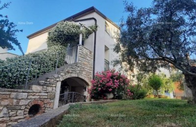 Appartement Brtonigla