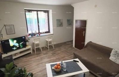HUIS OP DE ROODTOP BIJ UMAG - 3 VERDIEPINGEN