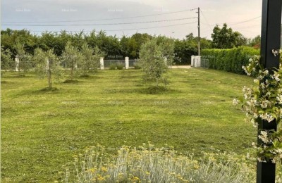 MARČANA! LOBORIKA - BOUWGROND MET OLIEBOOMGAARD