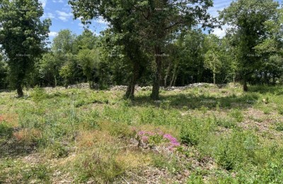 Aantrekkelijk bouwkavel te koop, Sveti Lovreč