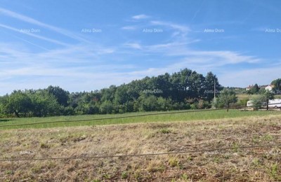 BOUWGROND 2.920 m² IN DE BUURT VAN VIŠNJANA