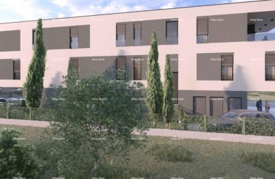 Appartementen te koop in een nieuw project, Veli vrh, Pula!